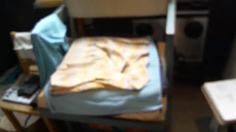 .     y e l l o w s n a k e s       . online show from February 1, 7:12 pm