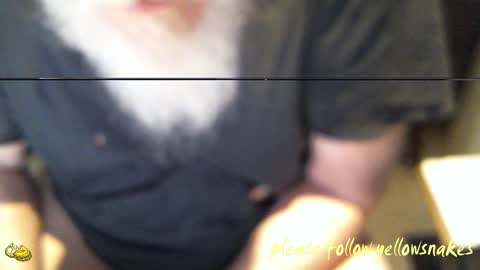 .     y e l l o w s n a k e s       . online show from February 5, 4:47 pm