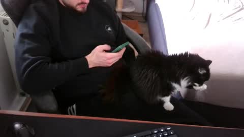 yes150 online show from March 11, 10:00 am