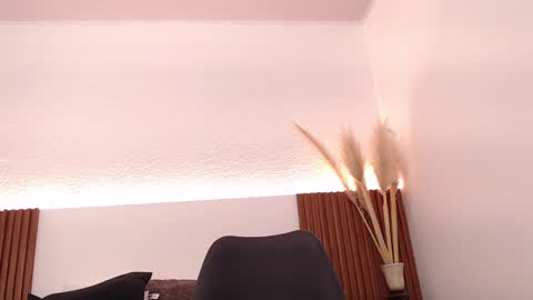 Zander online show from January 26, 2:52 pm