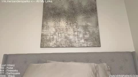 Zander Sparks online show from November 15, 1:18 am