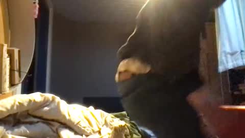 zolexthomas online show from November 16, 3:47 pm