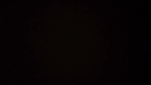 zoozdxb online show from January 17, 7:49 pm