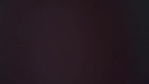 zoozdxb online show from January 16, 7:22 am