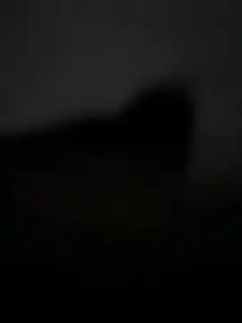 Crackkers online show from May 10, 3:41 am