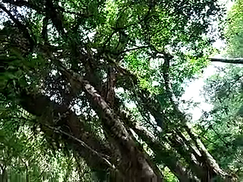 OFICINA Simas-Turbo online show from October 25, 11:23 am