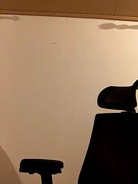 singer1911 online show from November 1, 7:51 pm