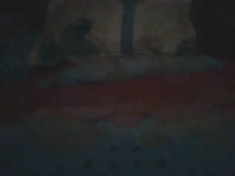 Nuttysub online show from December 18, 2:29 am