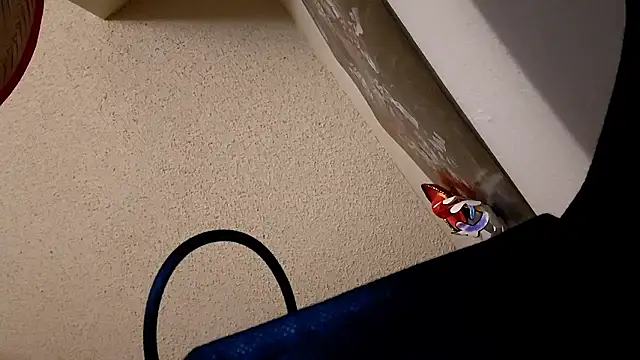 Forbidden daddy online show from December 2, 8:17 am