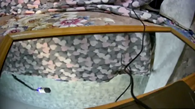 Kai and you online show from November 21, 12:20 am