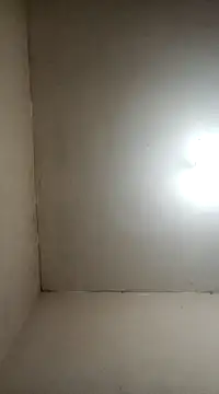 fieltoprj1 online show from January 5, 8:11 am