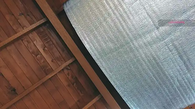 SilvaBranko online show from March 25, 10:03 pm