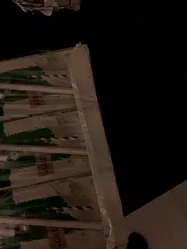 Gigolo profissional online show from November 7, 1:31 am