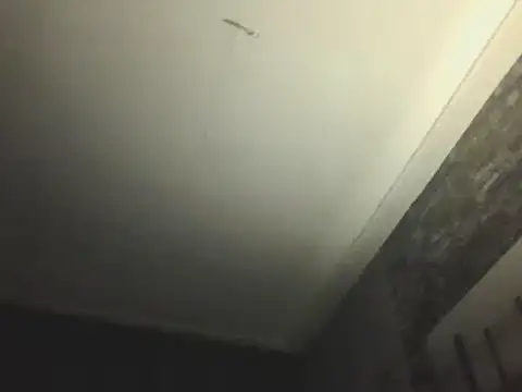 Prehistorixxx2686 online show from January 12, 6:28 am