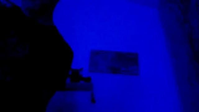 El Gizmo online show from February 28, 10:58 am