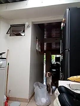 sebasxx97 online show from March 17, 12:36 pm