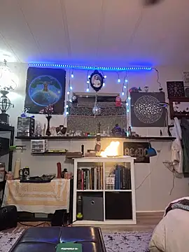 BobbyQ29 online show from February 16, 8:01 am