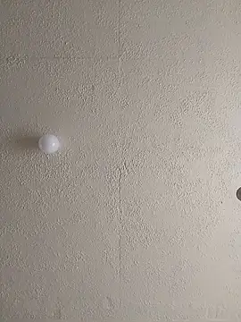 shotgunDee online show from November 25, 8:38 am