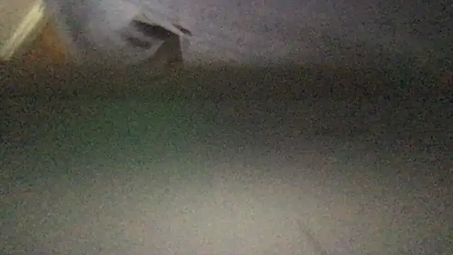 JunkieShitPig online show from March 13, 12:46 pm