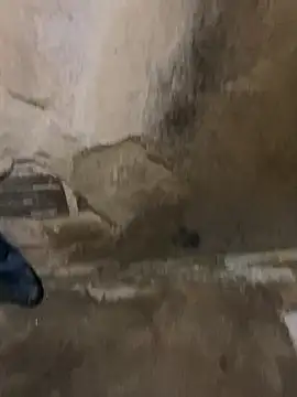 s1437jdjjddjjshbx online show from March 9, 9:35 am