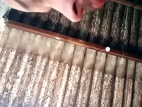 jhonwins01 online show from November 19, 2:39 pm