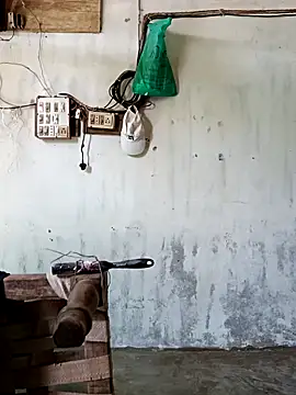 Yasha 14C Creator online show from April 15, 8:47 am