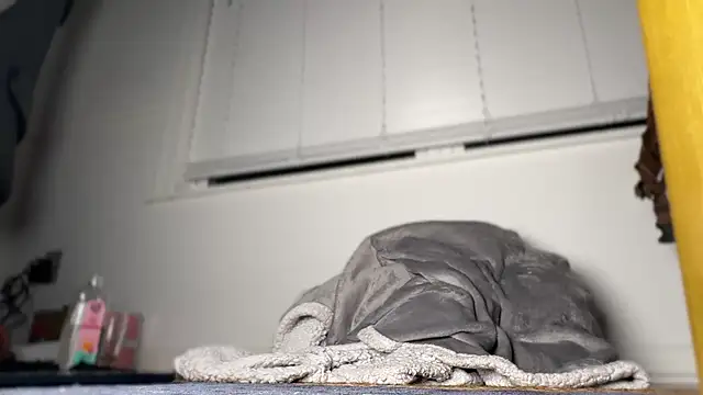 Theonlydreamybull online show from April 20, 4:37 am