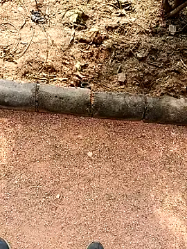 RockyNonStop online show from January 19, 7:04 am