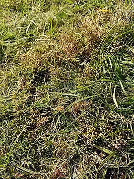 RockyNonStop online show from January 18, 8:10 am