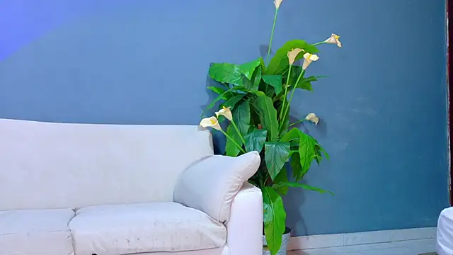 french sexx online show from October 8, 1:21 am