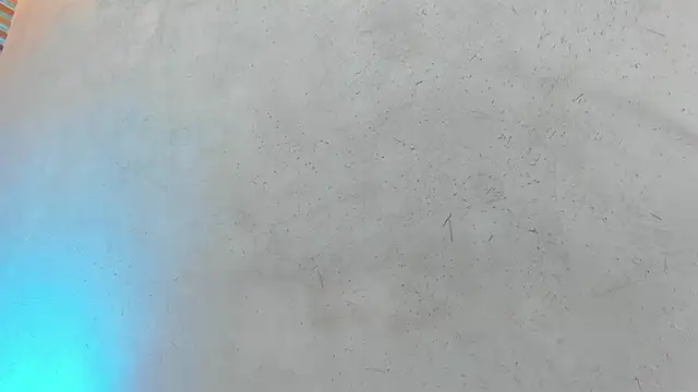 french sexx online show from December 3, 2:05 pm