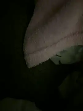 Ariel Ari online show from February 2, 3:16 am