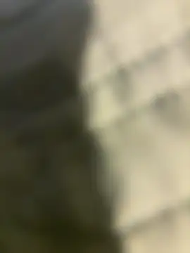 Ariel Ari online show from December 31, 8:12 pm