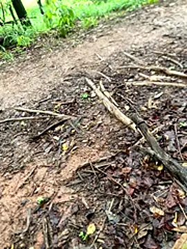 Maurob18 online show from November 2, 11:25 am