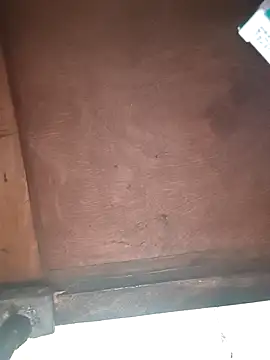 Srmotrs online show from December 5, 1:40 pm