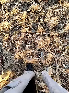 murokkk31 online show from September 22, 4:01 am