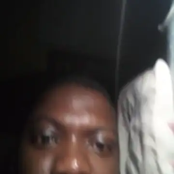 wlammi ptr online show from February 10, 11:53 pm