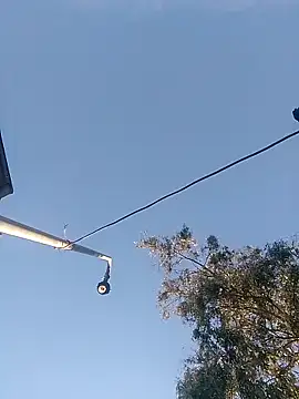 Enferma Sexual05 online show from January 17, 10:00 pm