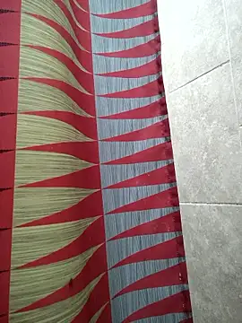 VL25DN26 online show from January 9, 1:22 am