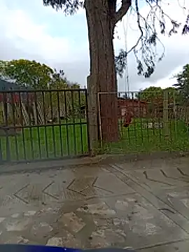 Cuervo maniaco online show from November 4, 7:26 pm