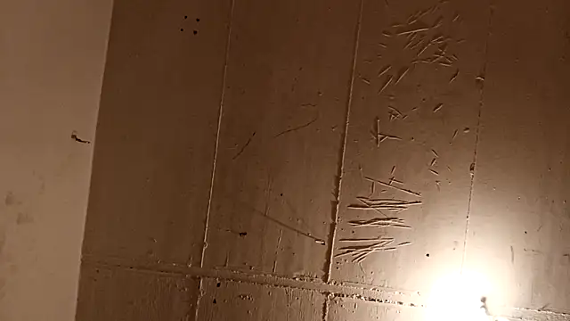 Timbojan28 online show from April 20, 10:56 pm