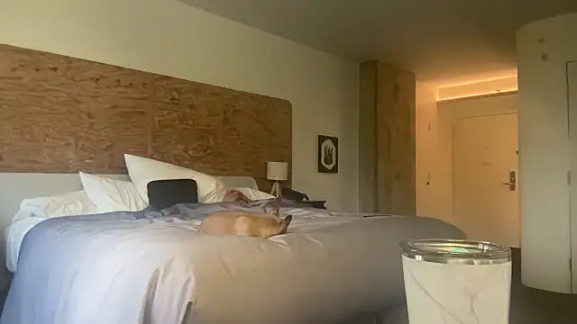 BabyJayNasty online show from September 29, 11:55 pm