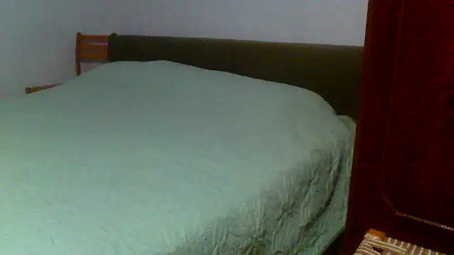 petan33 online show from September 11, 6:40 pm