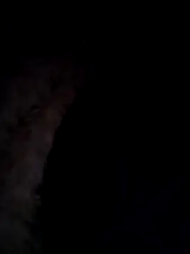 07YUKIO online show from December 31, 7:29 pm