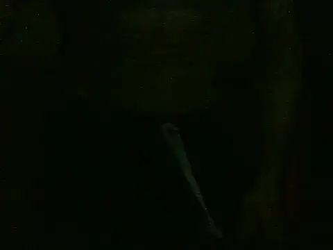 Snapshot of dangerman94 chatting on October 22, 2:37 am dangerman94 online show from October 22, 2:37 am