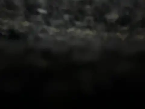  my ass  online show from February 9, 10:00 pm