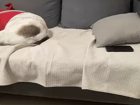 4small4inchlol online show from March 25, 4:11 pm