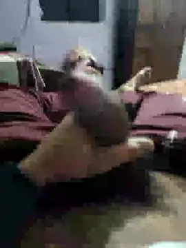 youngbull 21delhi online show from December 21, 8:28 am