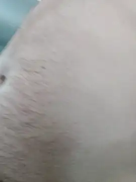 QcMisterv13 online show from November 14, 6:20 pm