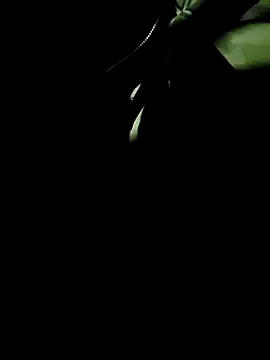 QcMisterv13 online show from March 21, 6:50 am